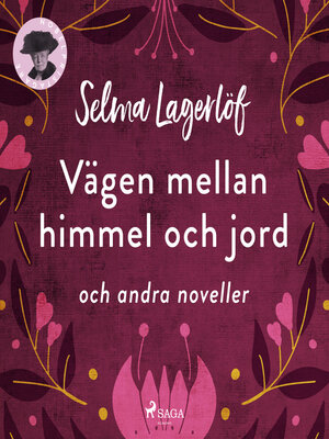 cover image of Vägen mellan himmel och jord (och andra noveller)